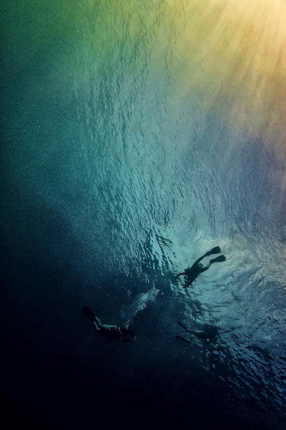 Black Blue Yellow Green Red