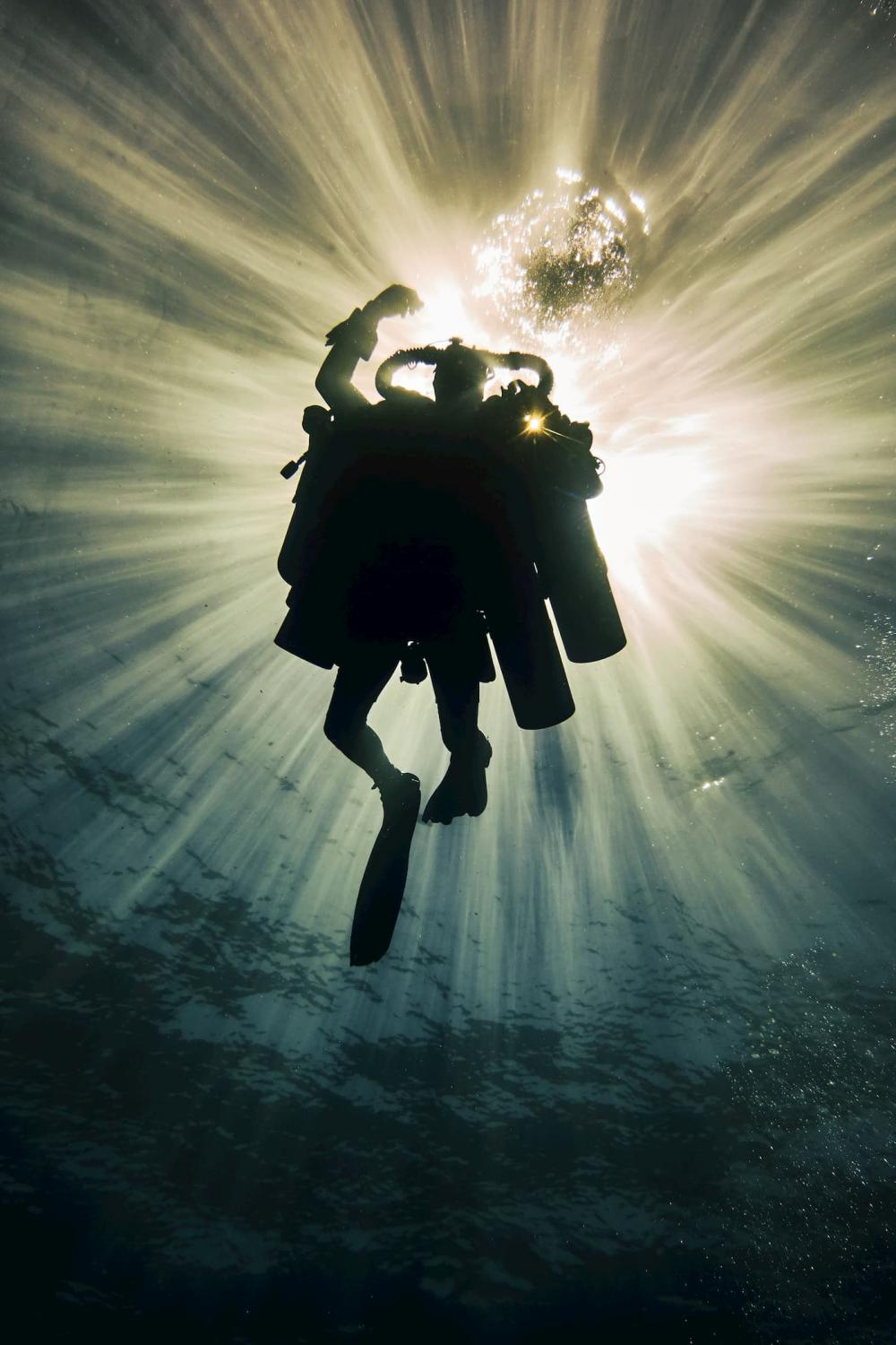 Tech Diver Dani portrait as an angel