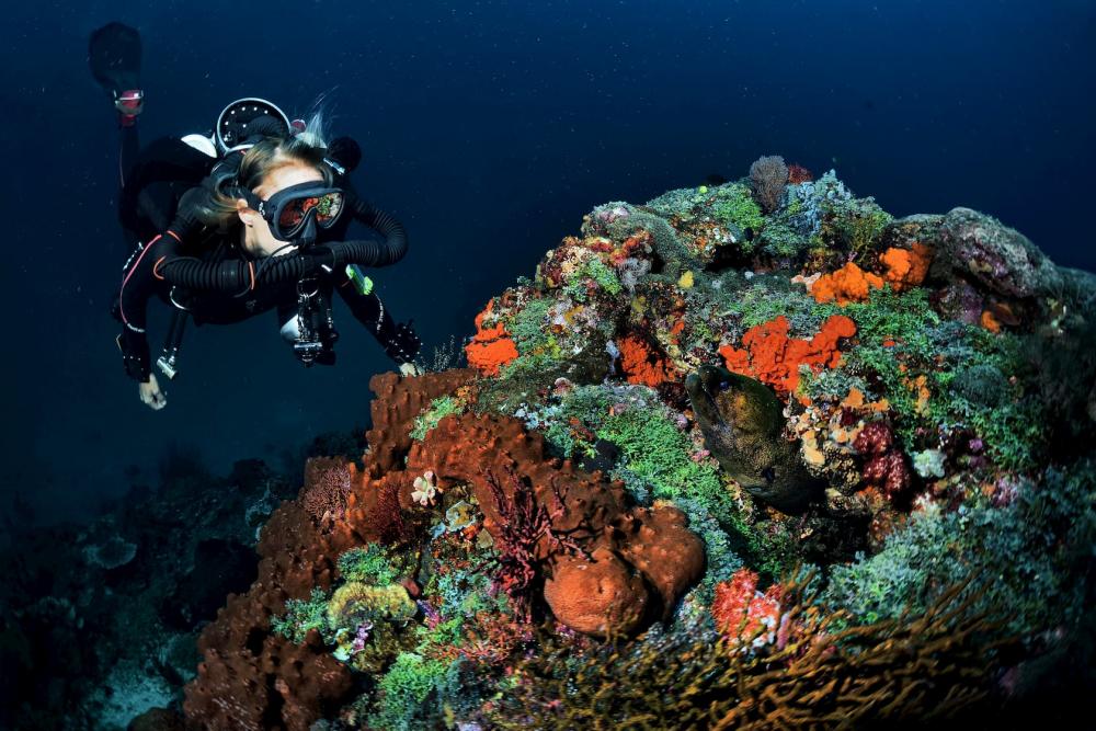 JJ-CCR Rebreather. Technical Diver Underwater