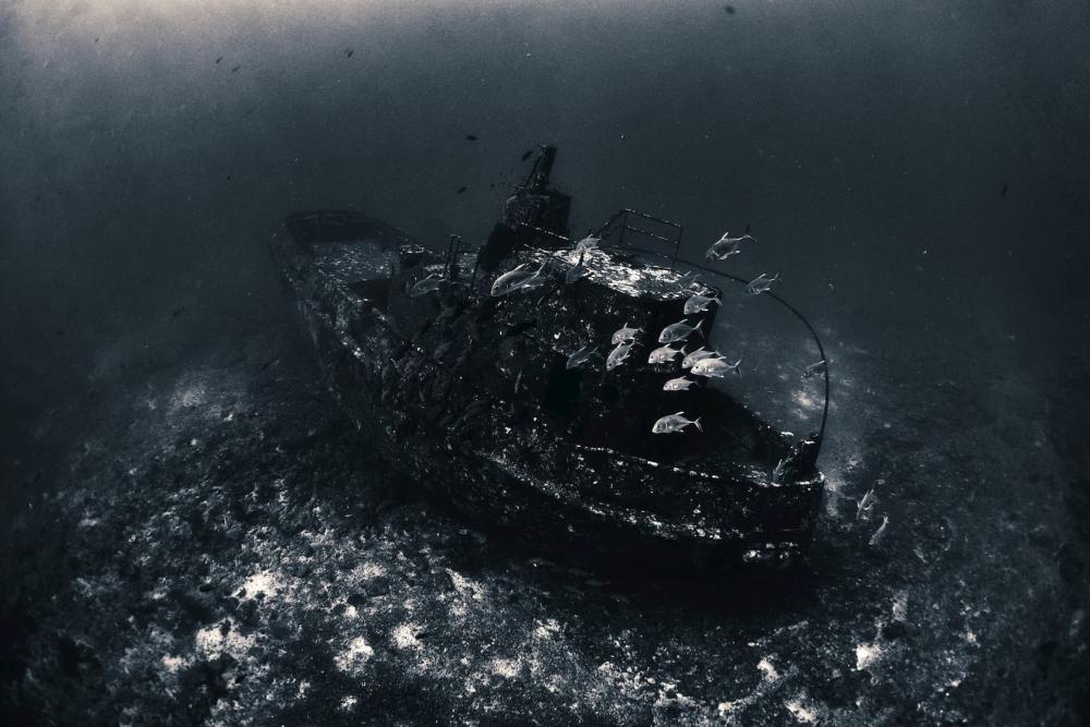 Glenn Nusa Wreck Shark Point Gili Trawangan Indonesia